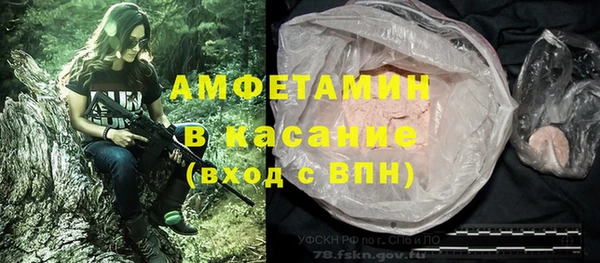 сатива Нефтекумск