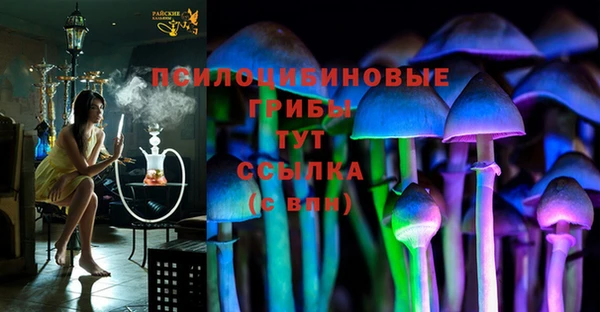 соль ск Нефтегорск