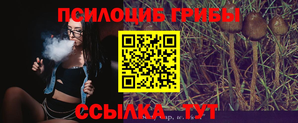 Йошкар-Ола  Галлюциногенные грибы ЛСД  Вход с VPN 